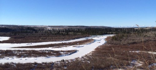 weaselhead_2014_salus