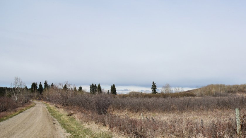 DSC_0894 residential school