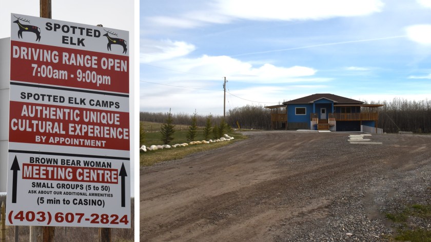 DSC_0934 Spotted Elk
