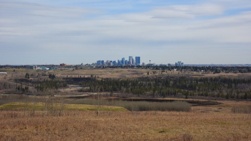 DSC_0937 Calgary closer