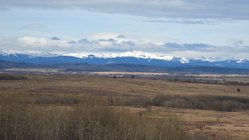 DSC_0968 Moose Mountain close